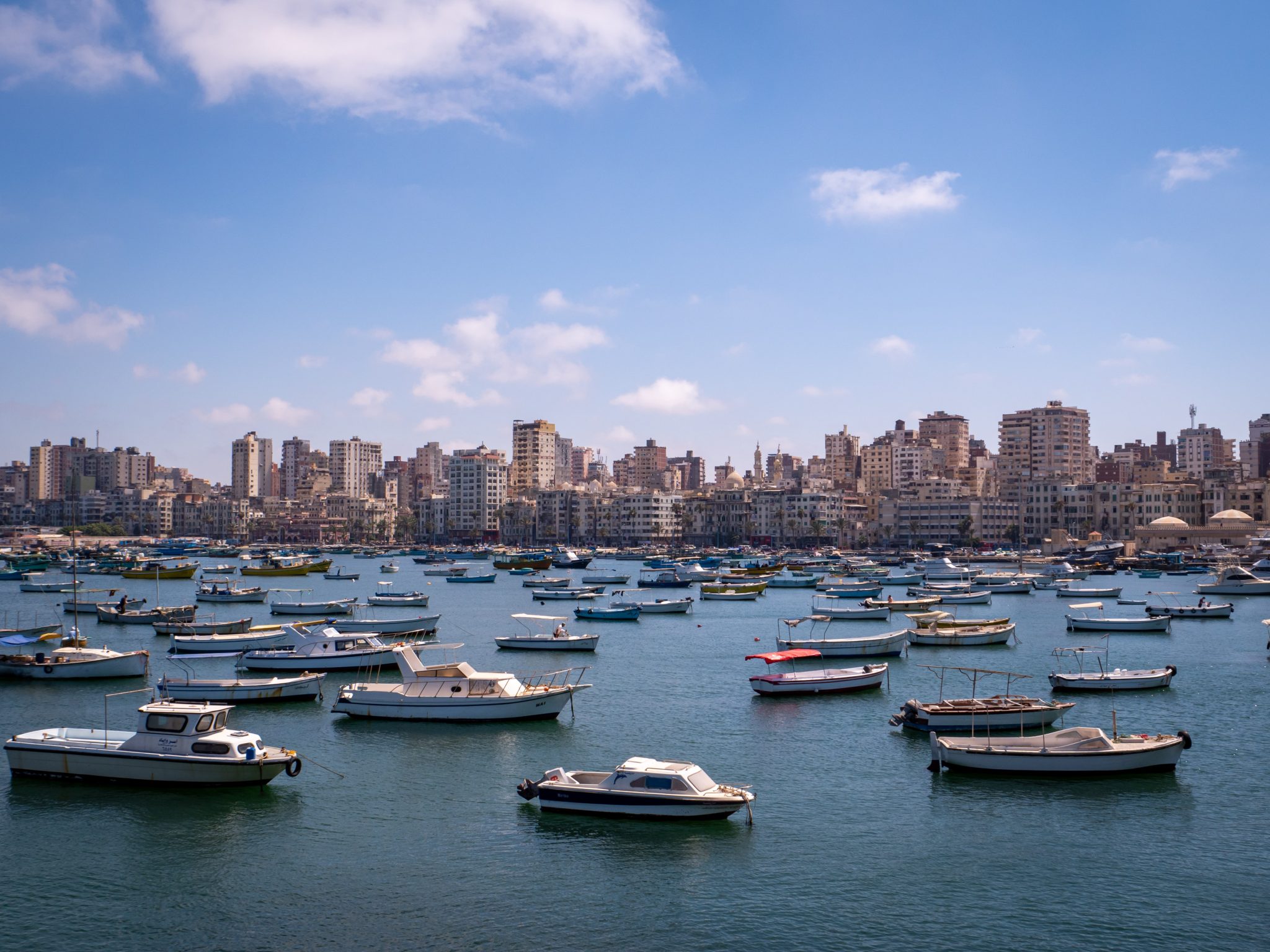 Alexandria Day Tours